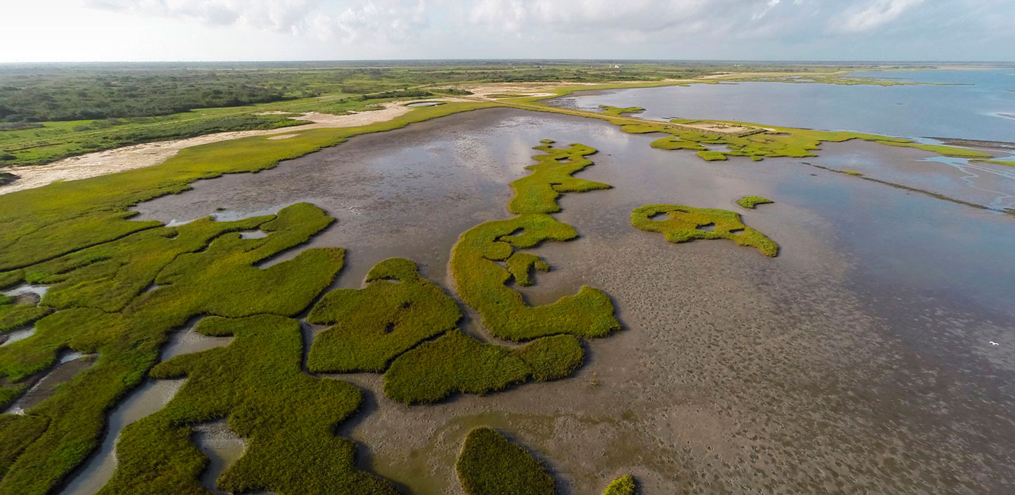 Aerial photo of fringe marshes along Powderhorn Lake