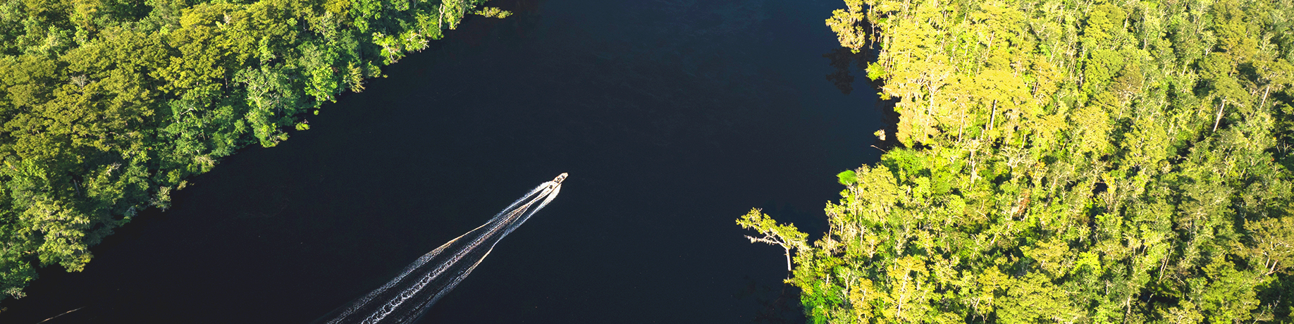 Aerial view of a narrow river cutting through dense green forest, with a single motorboat leaving a white wake as it moves through the dark water.