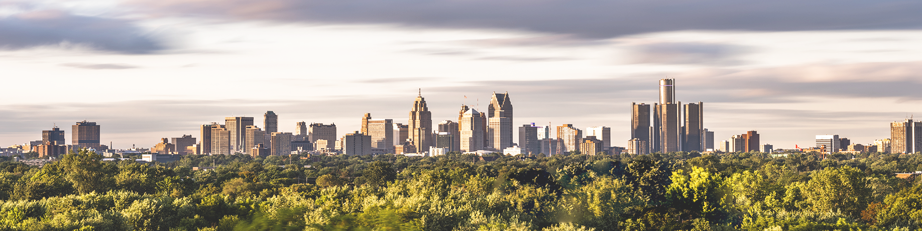 Panoramic view of a city skyline rising above a dense canopy of green trees, with tall modern and historic buildings in the distance under a sky filled with soft, streaked clouds and warm evening light.
