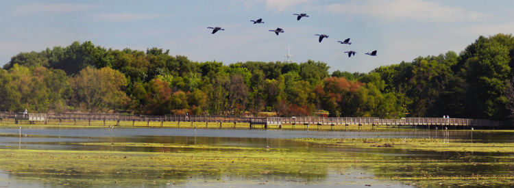 John Heinz National Wildlife Refuge