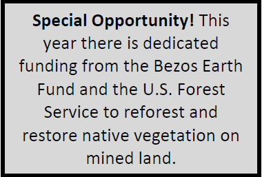 Special Opportunity! This year there is dedicated funding from the Bezos Earth Fund and the U.S. Forest Service to reforest and restore native vegetation on mined land land.