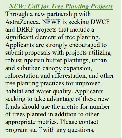 Call for Tree Planting Projects