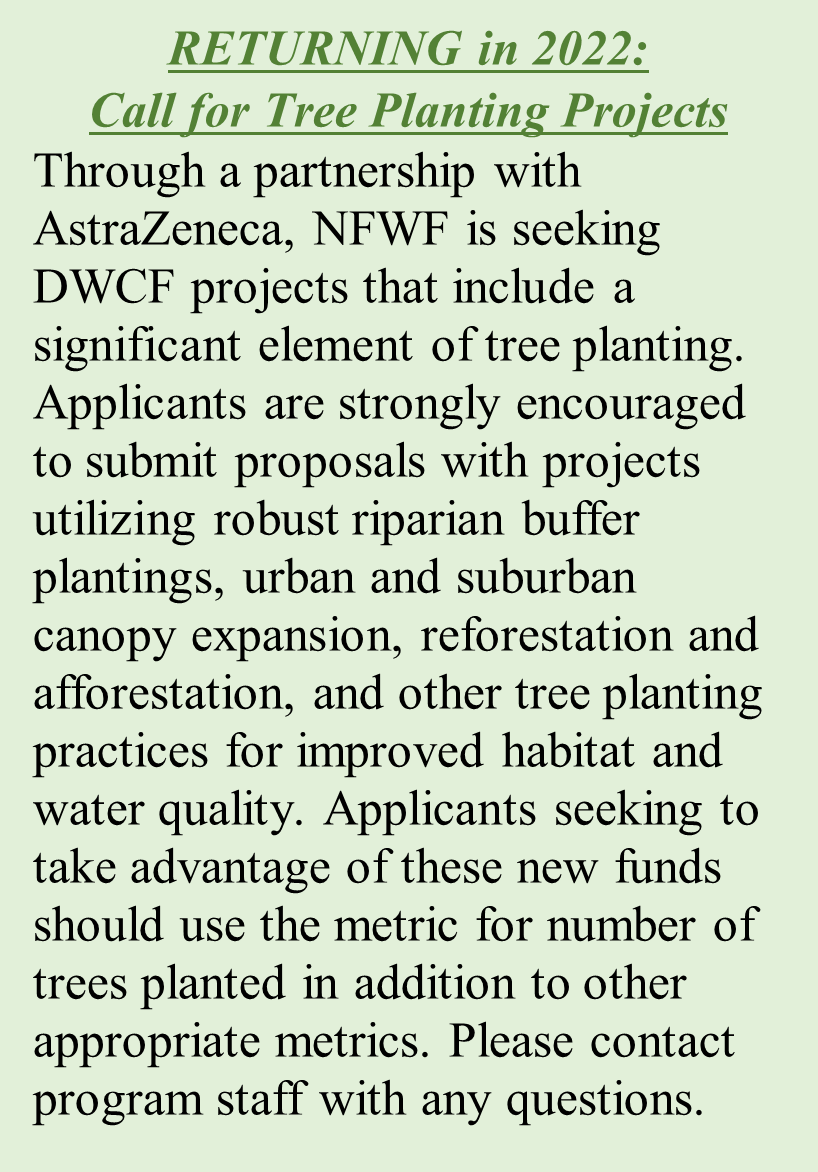 Call for Tree Planting Projects