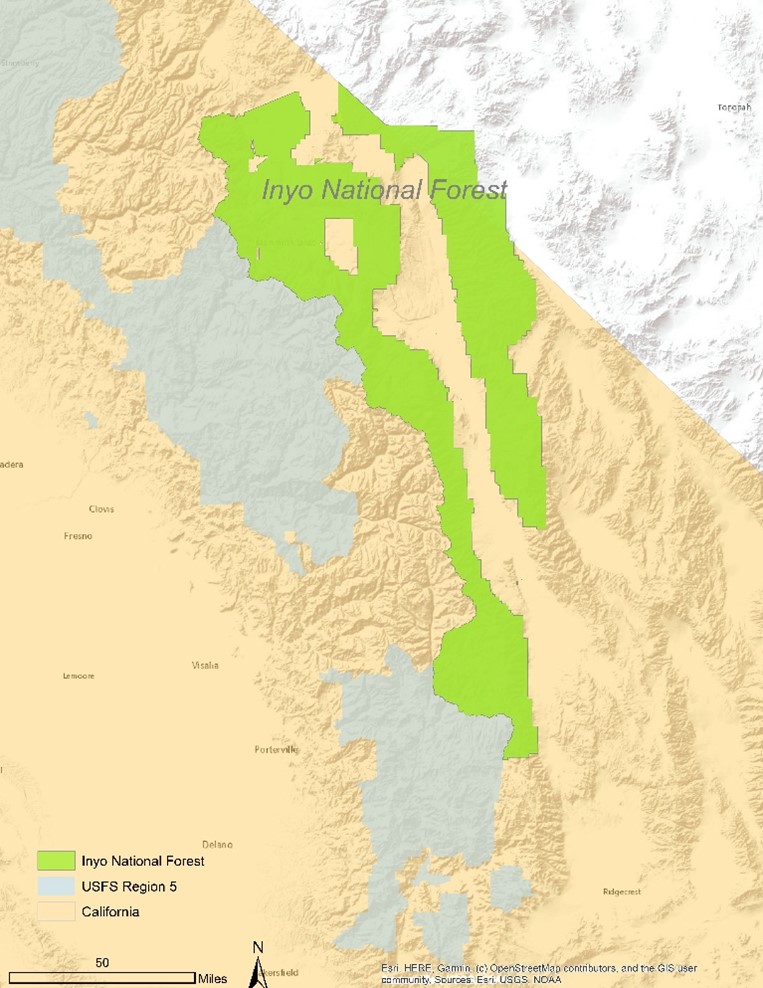 Geographic focus in Inyo National Forest