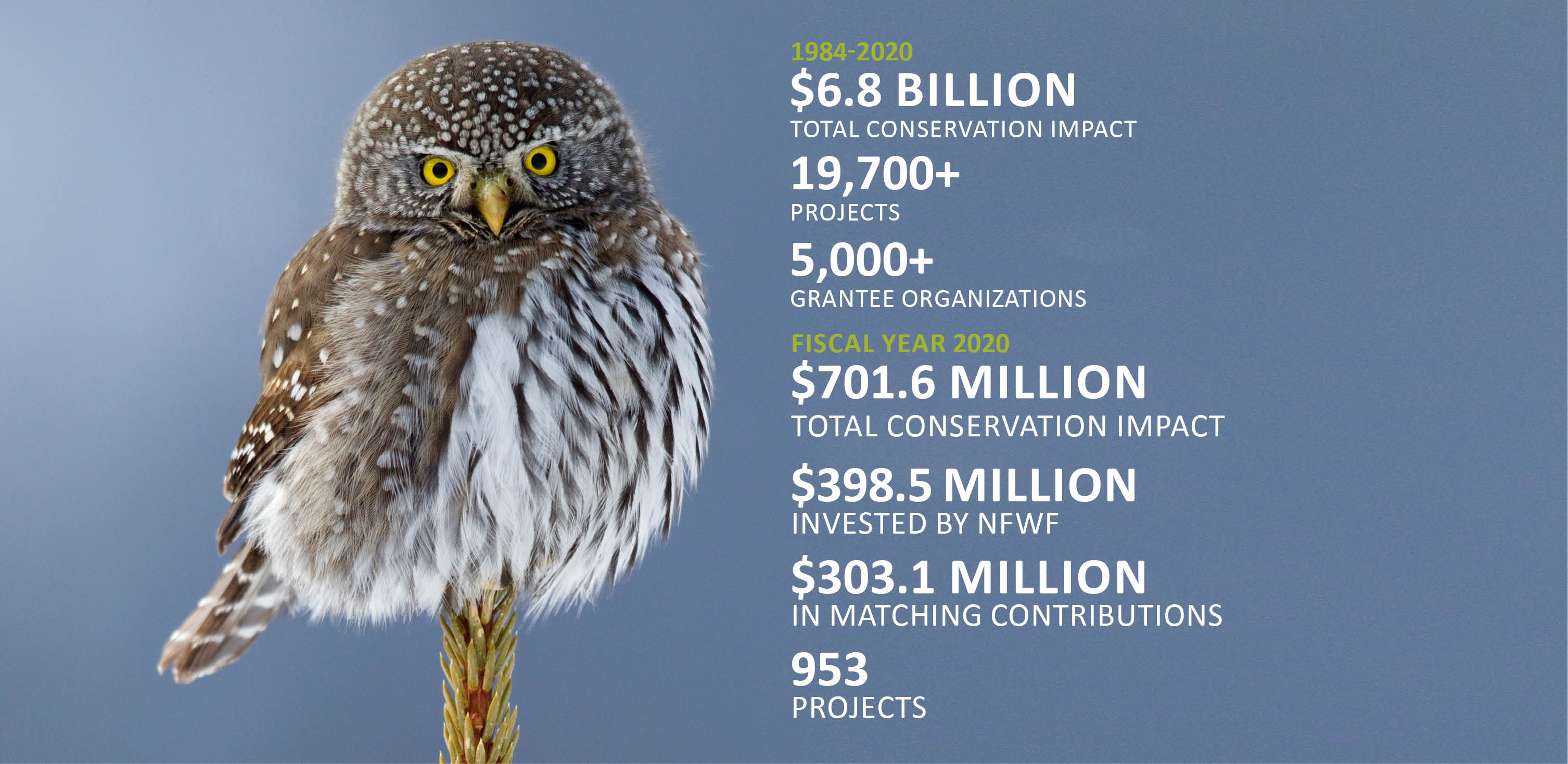 NFWF stats 2020