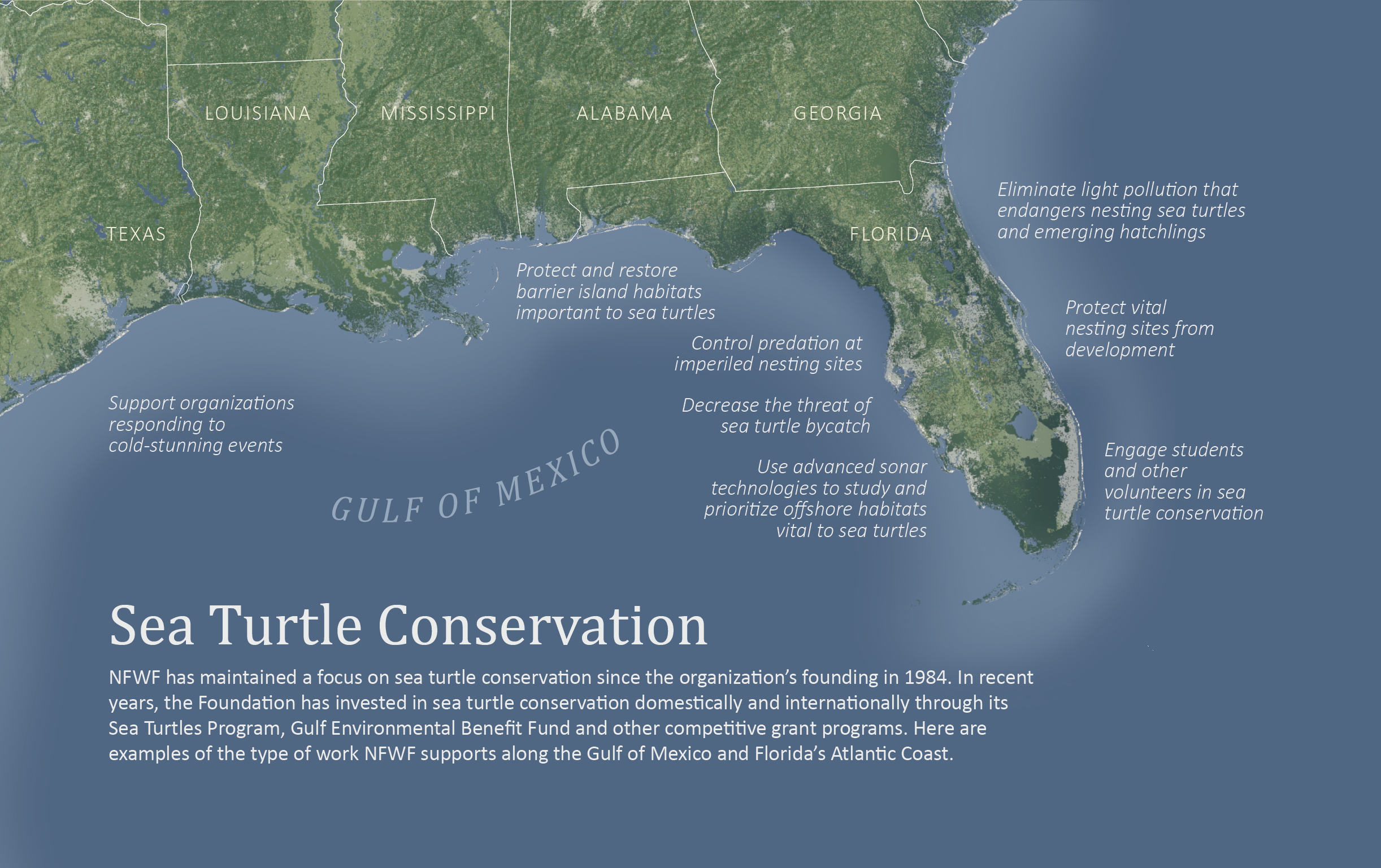 A map of the conservation work NFWF undertakes to support sea turtle habitation and migration