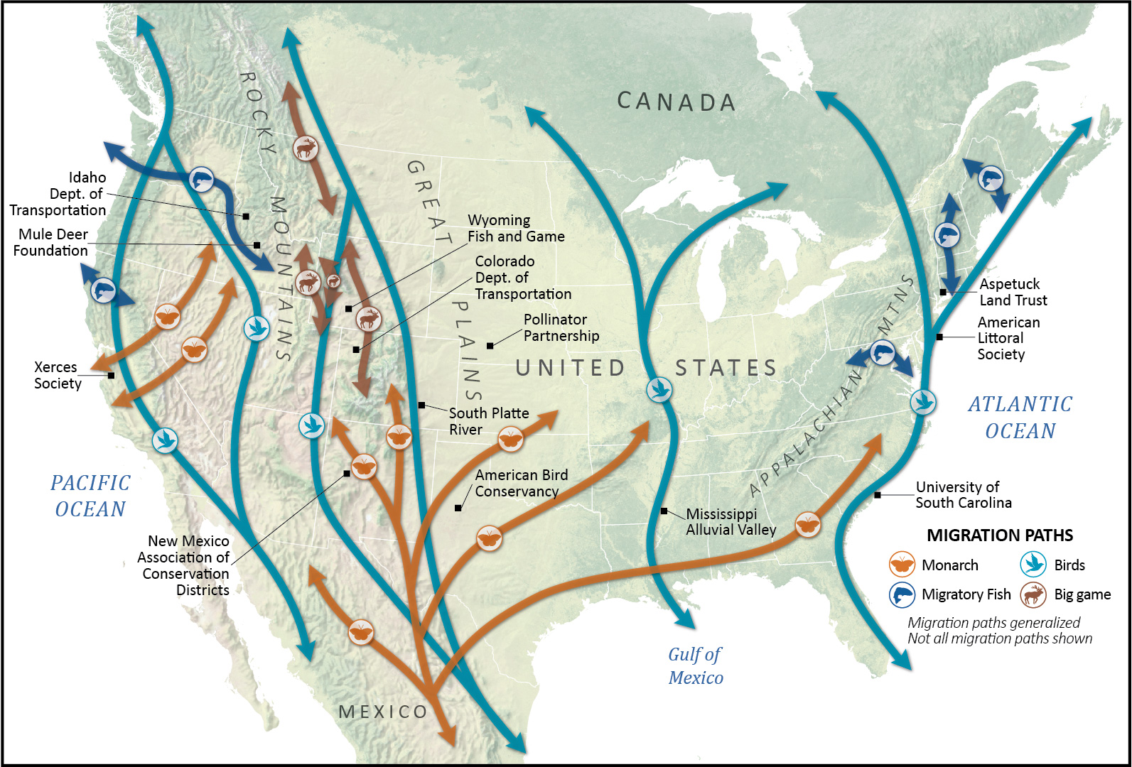 Wildlife migrations map