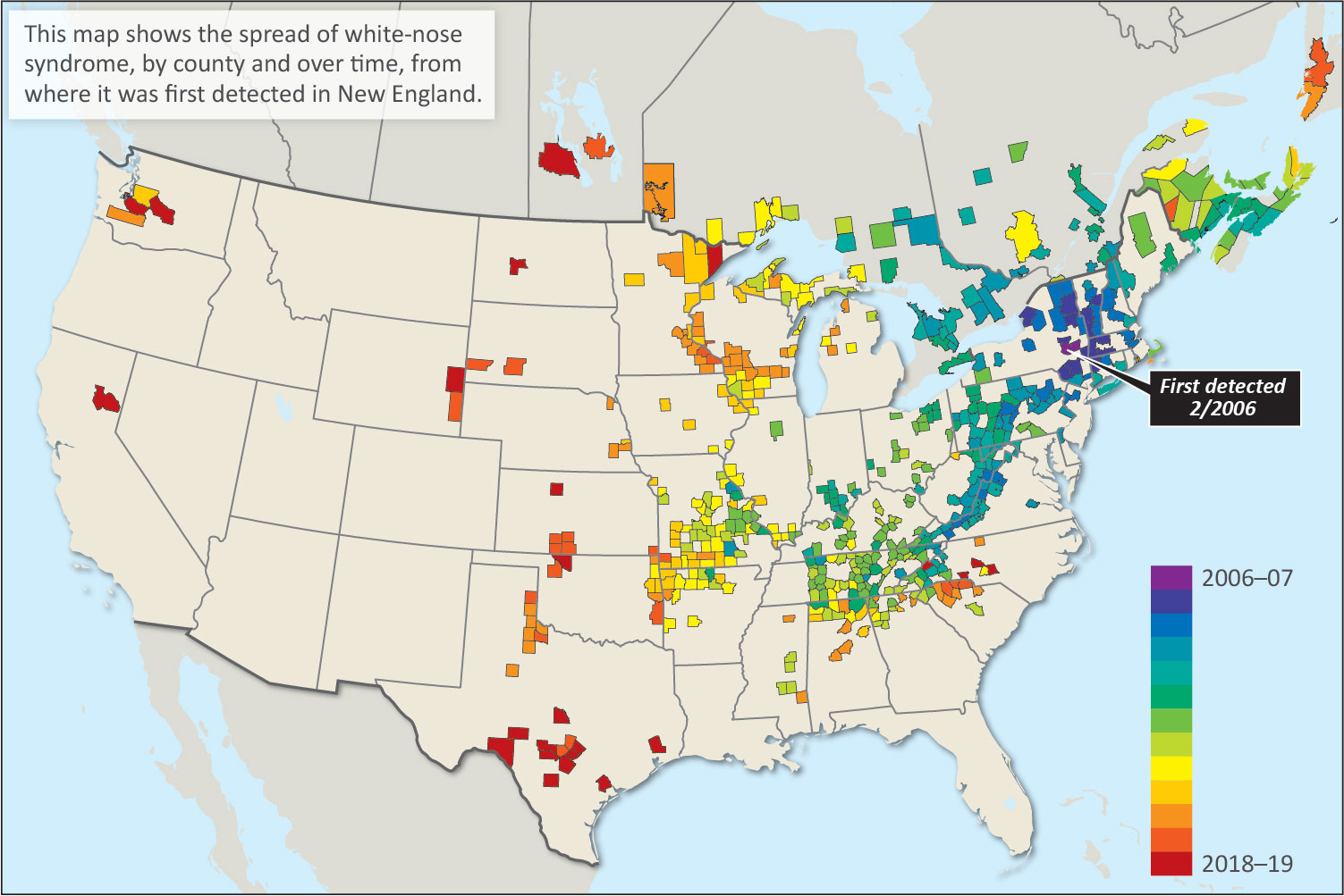 A map showing the spread of white-nose syndrome across the United States,
