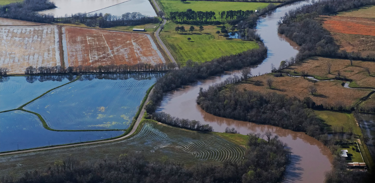 Coastal farmland