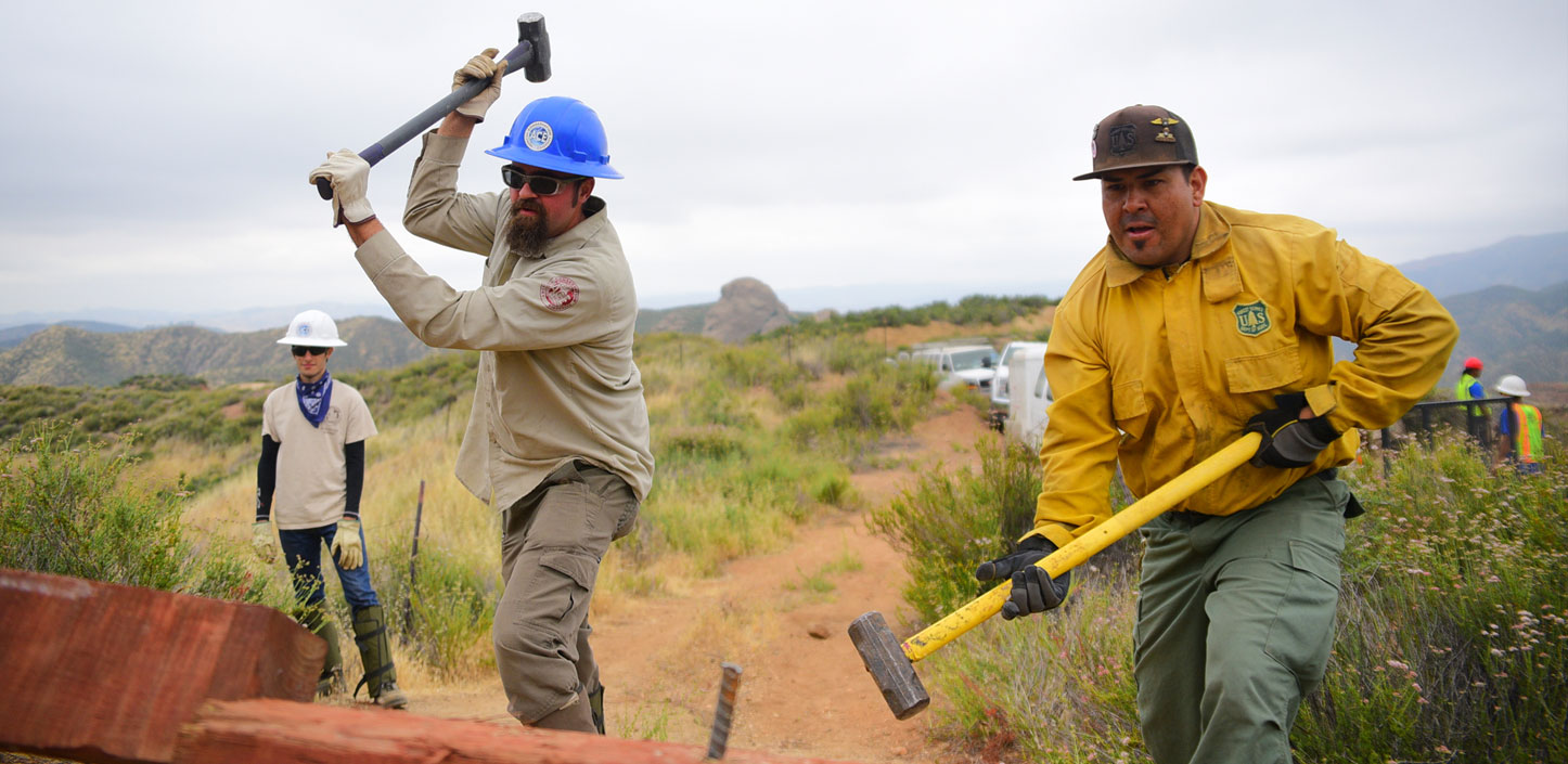 U.S. Forest Service staffers work with NFWF grantees to hasten recovery inside the Copper Fire scar in California’s Angeles National Forest.