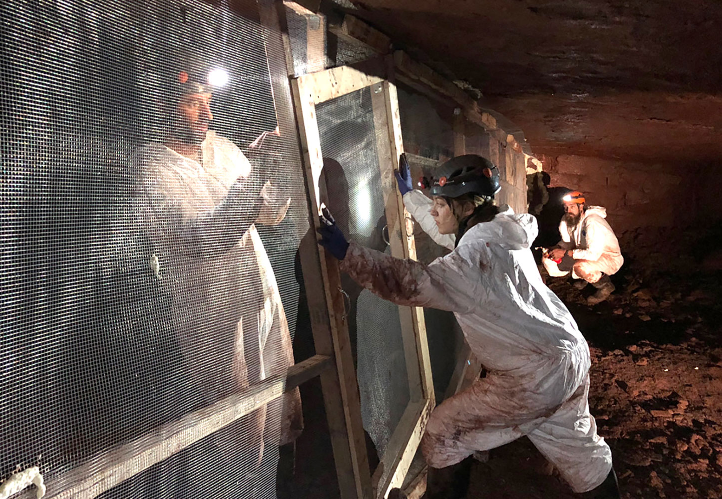 Researchers seal off a test area inside a bat hibernation site.