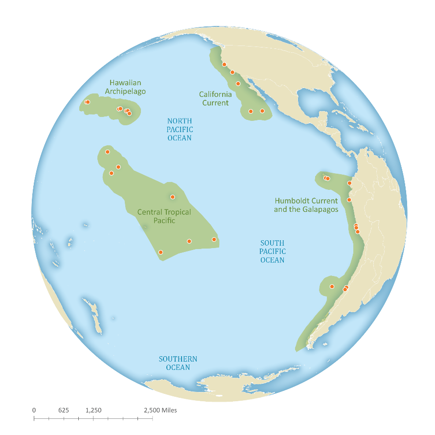 Seabird Priority Geographies