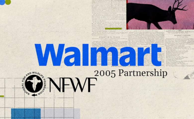 A collage-style graphic with a vintage newspaper-page texture reads “Walmart 2005 Partnership” alongside the National Fish and Wildlife Foundation (NFWF) logo, with a silhouetted deer against a dusky pink sky in the upper right corner and small decorative dots and grid elements throughout.