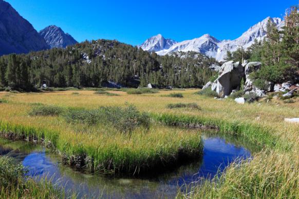 Wet meadow in the Sierra Nevada range