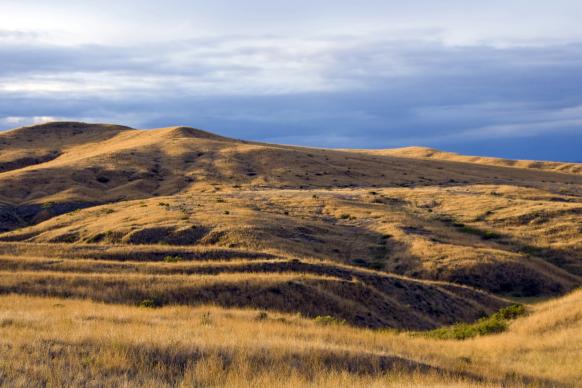 rolling grass covered hills with a moody sky