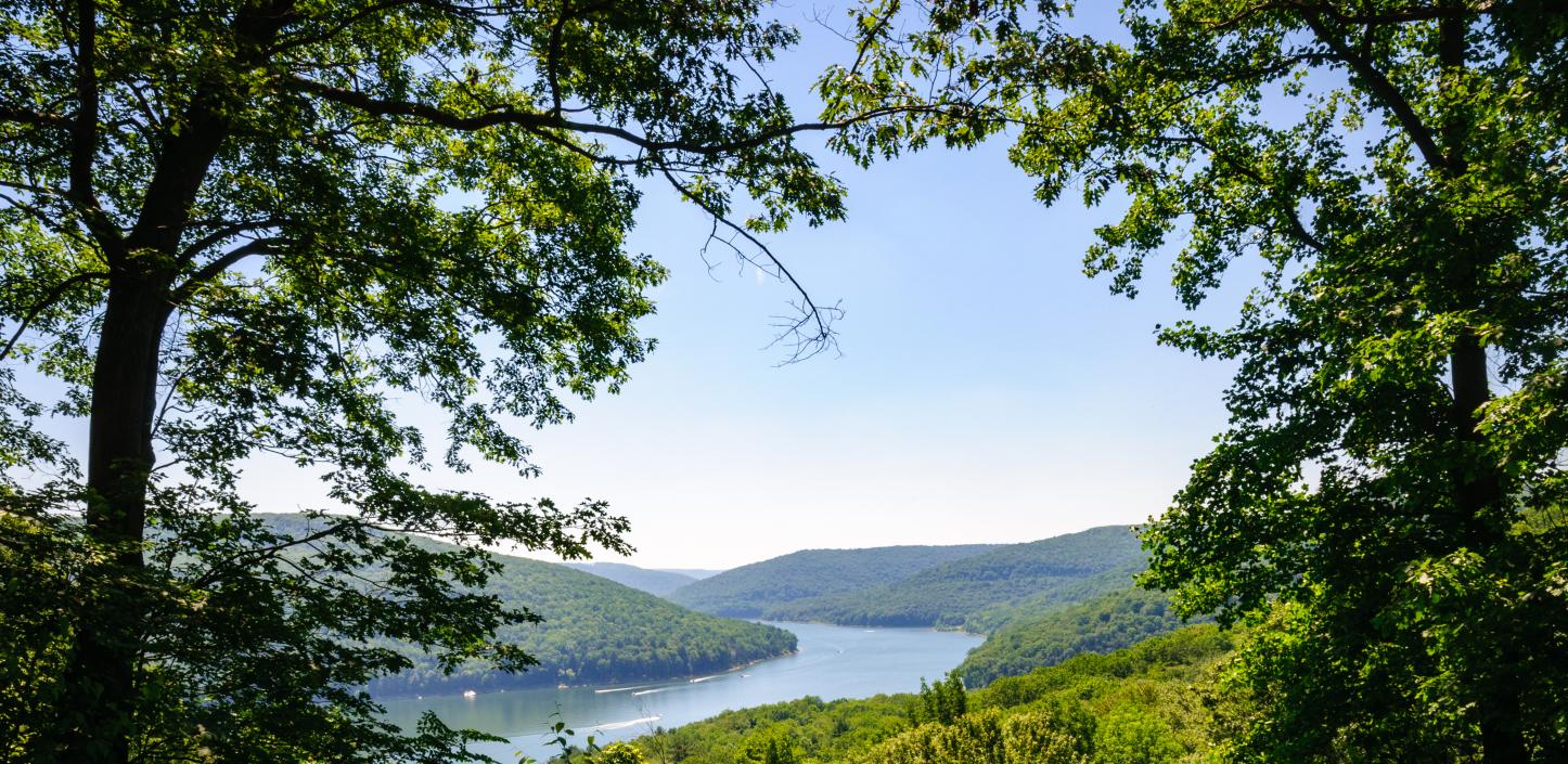 Allegheny National Forest, Pennsylvania