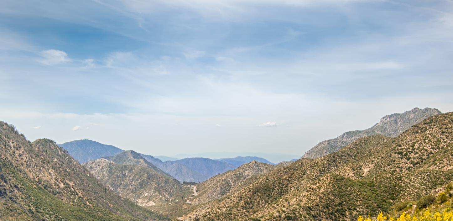 Angeles National Forest