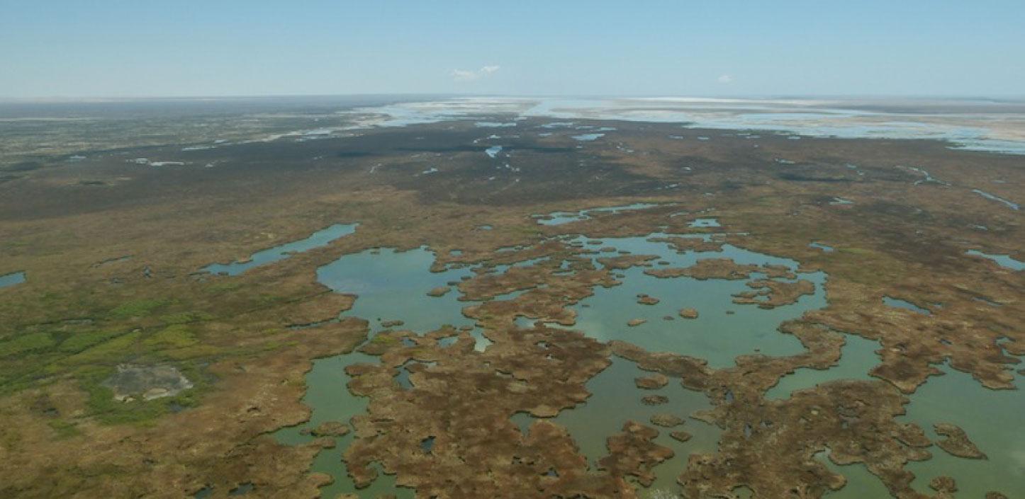 Aerial shot of the Colorado River Delta