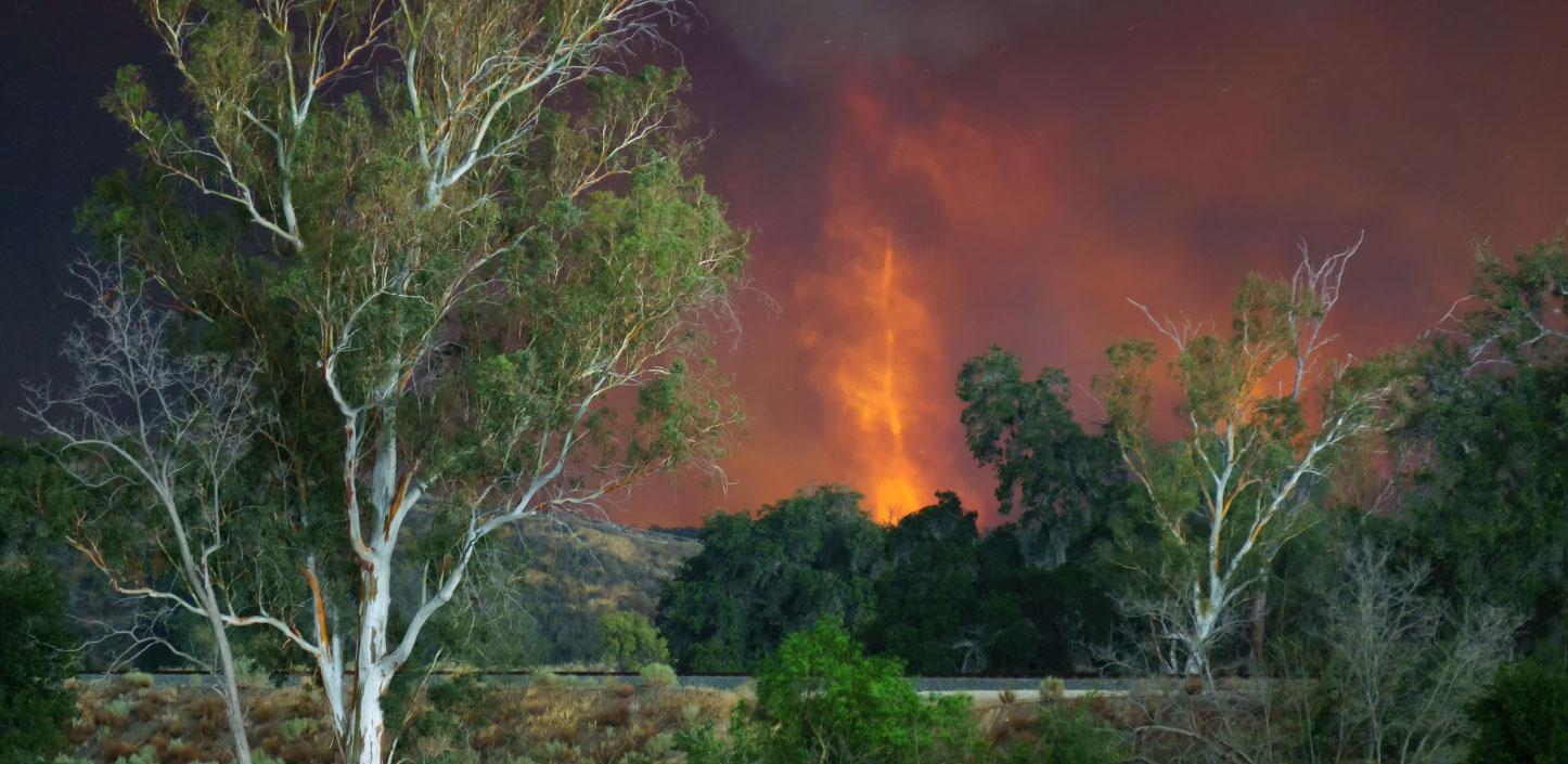 Fire, Angeles National Forest