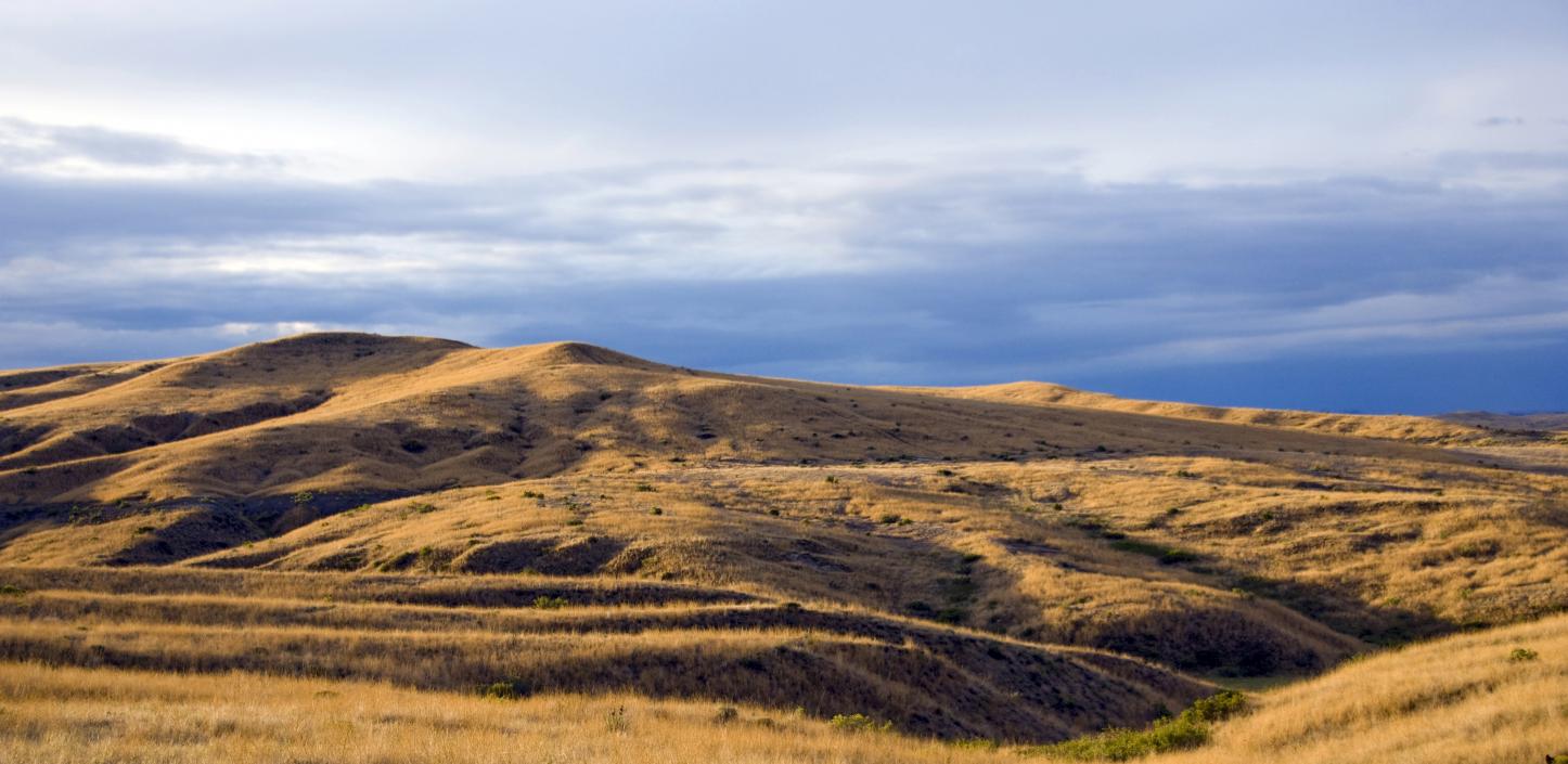 Great Plains, Montana