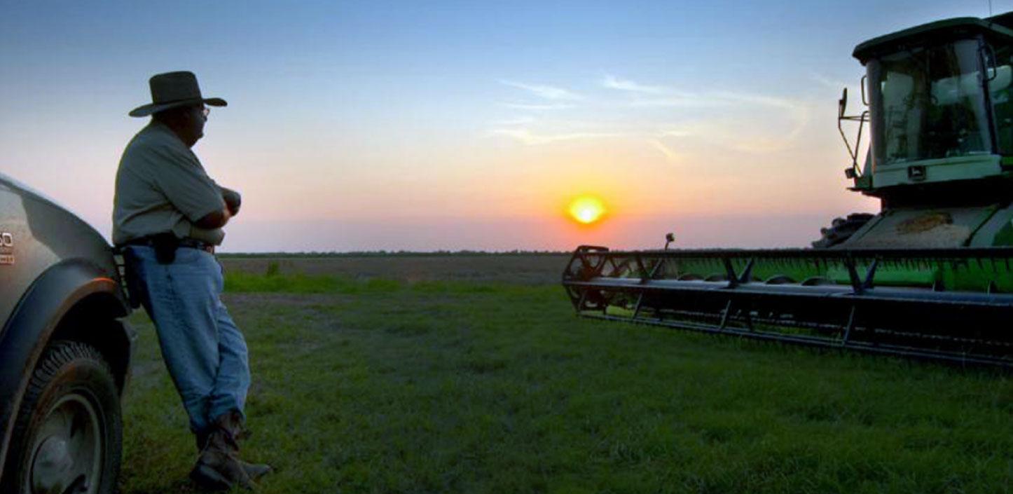 Louisiana farmer