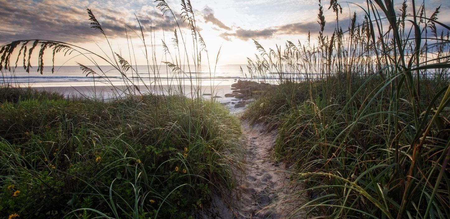 Pathway to the beach in Florida