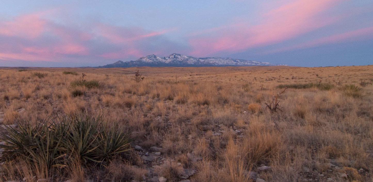 Shortgrass Prairie