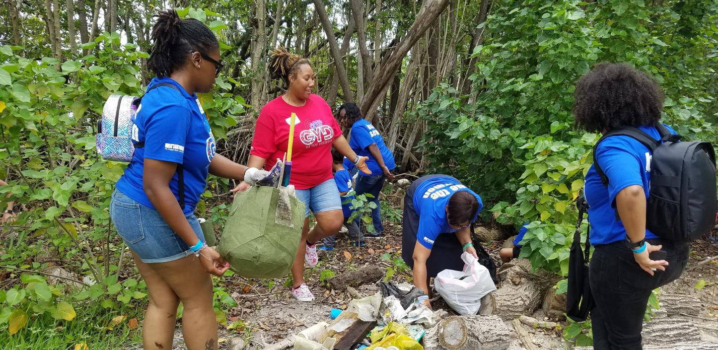 Volunteers remove debris from a park in Miami-Dade County, Florida, Credit: Phillip and Patricia Frost