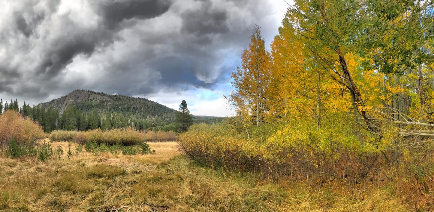 Cookhouse Meadow, Tahoe Basin | Credit: jcookfisher