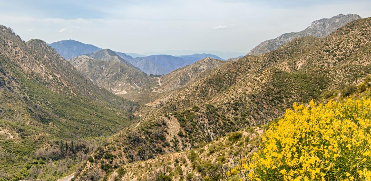 Angeles National Forest