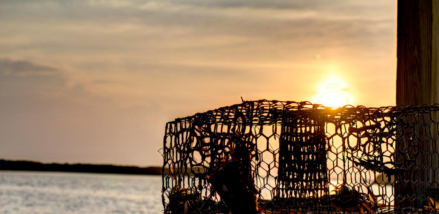 An abandoned crab pot on the Florida coast 