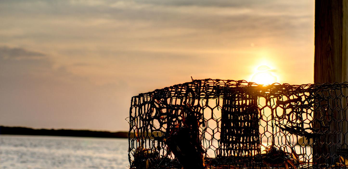 An abandoned crab pot on the Florida coast​ ​ 