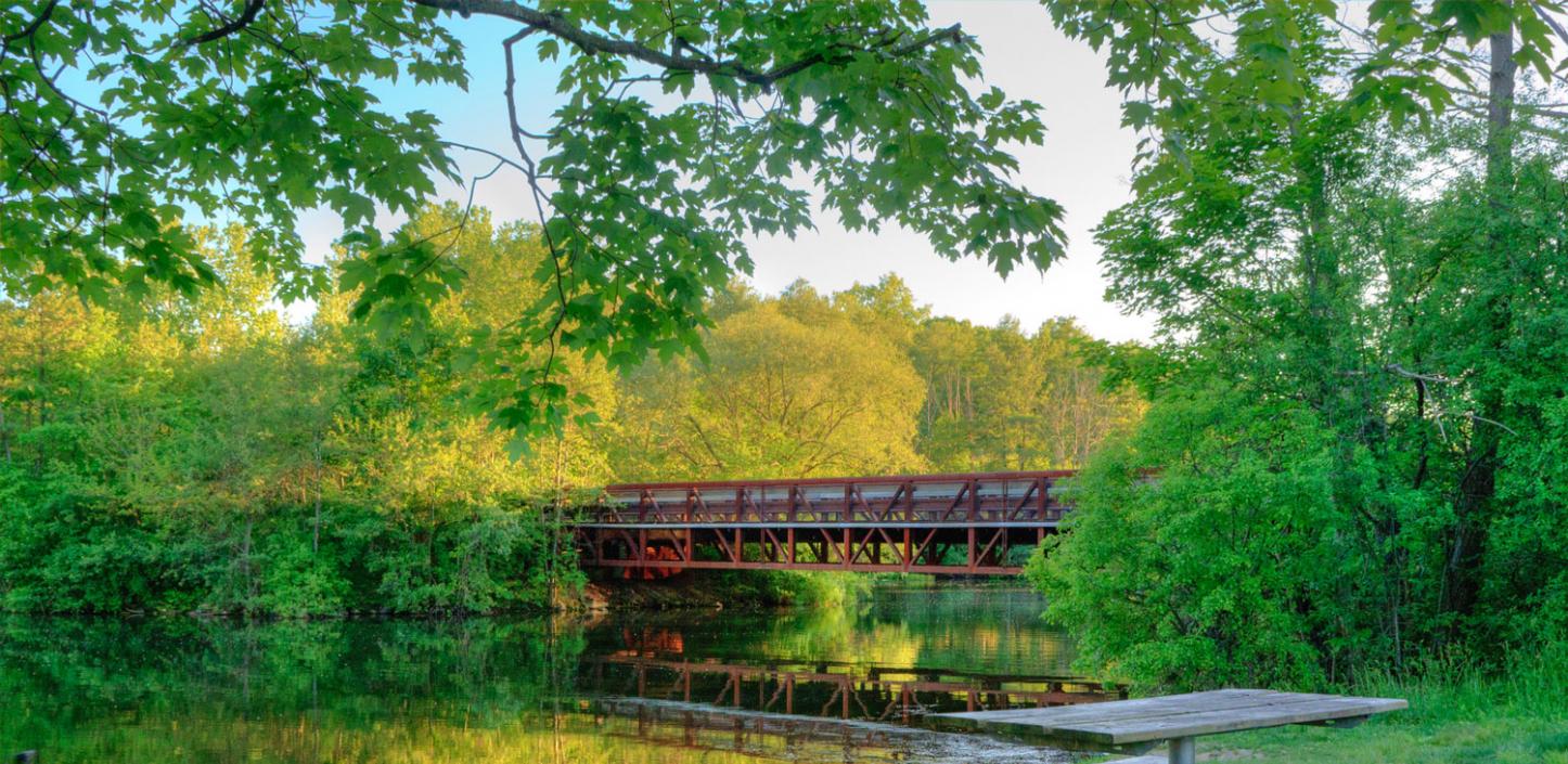 Foot bridge over the Huron River​