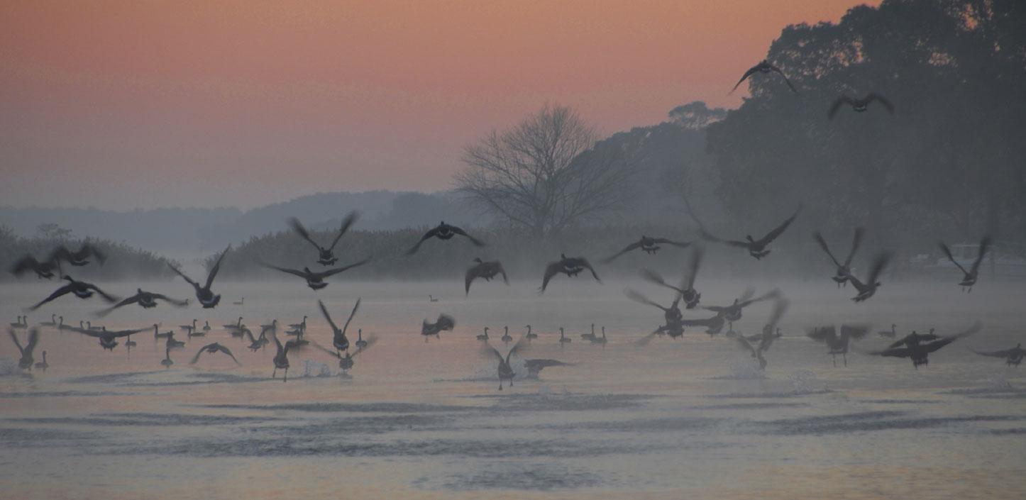 Chesapeake Bay