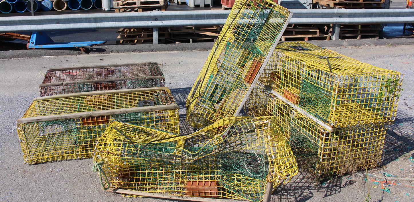 Derelict fishing gear