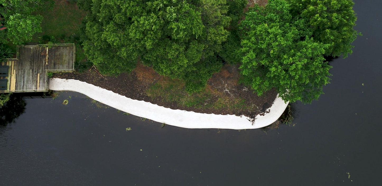 An aerial shot of trees and a shoreline