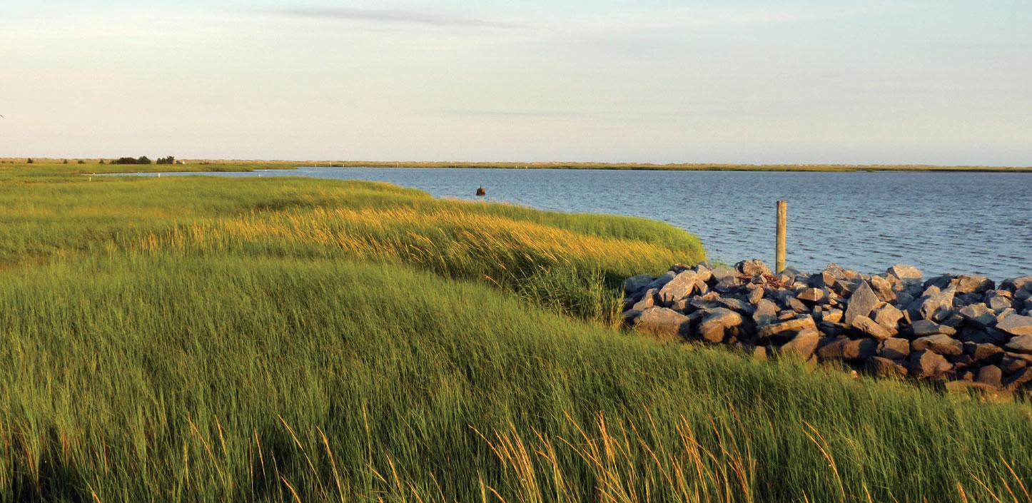 Barrier island in North Carolina​