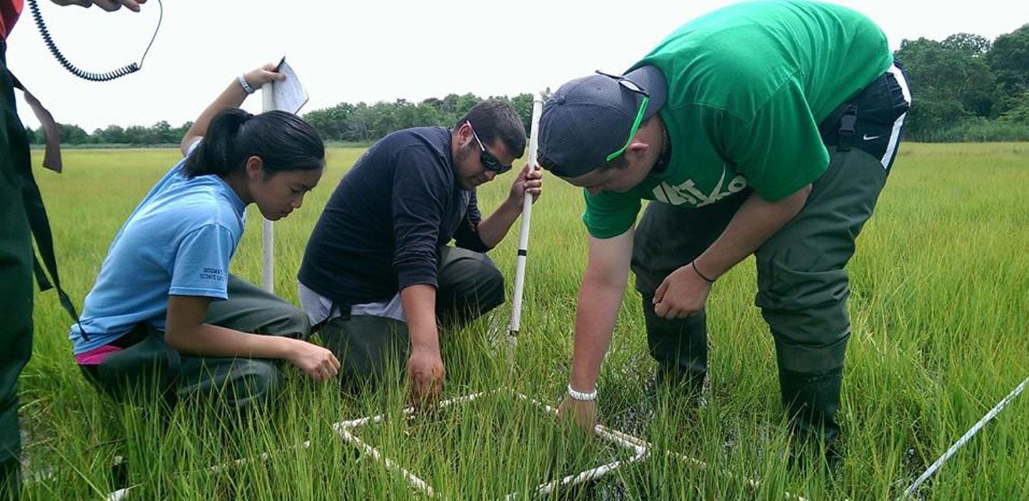 Partnership for the Delaware Estuary conducting research