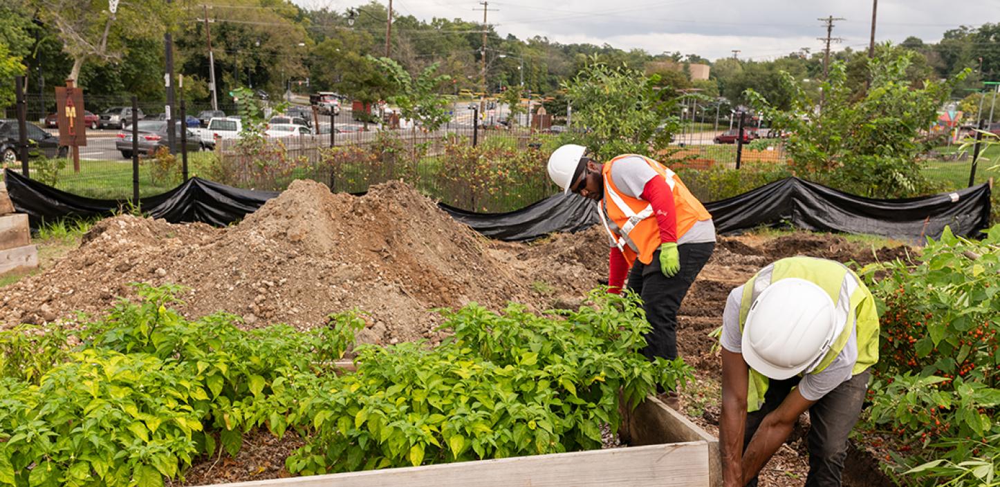 two men work on a raised garden bed on an urban farm