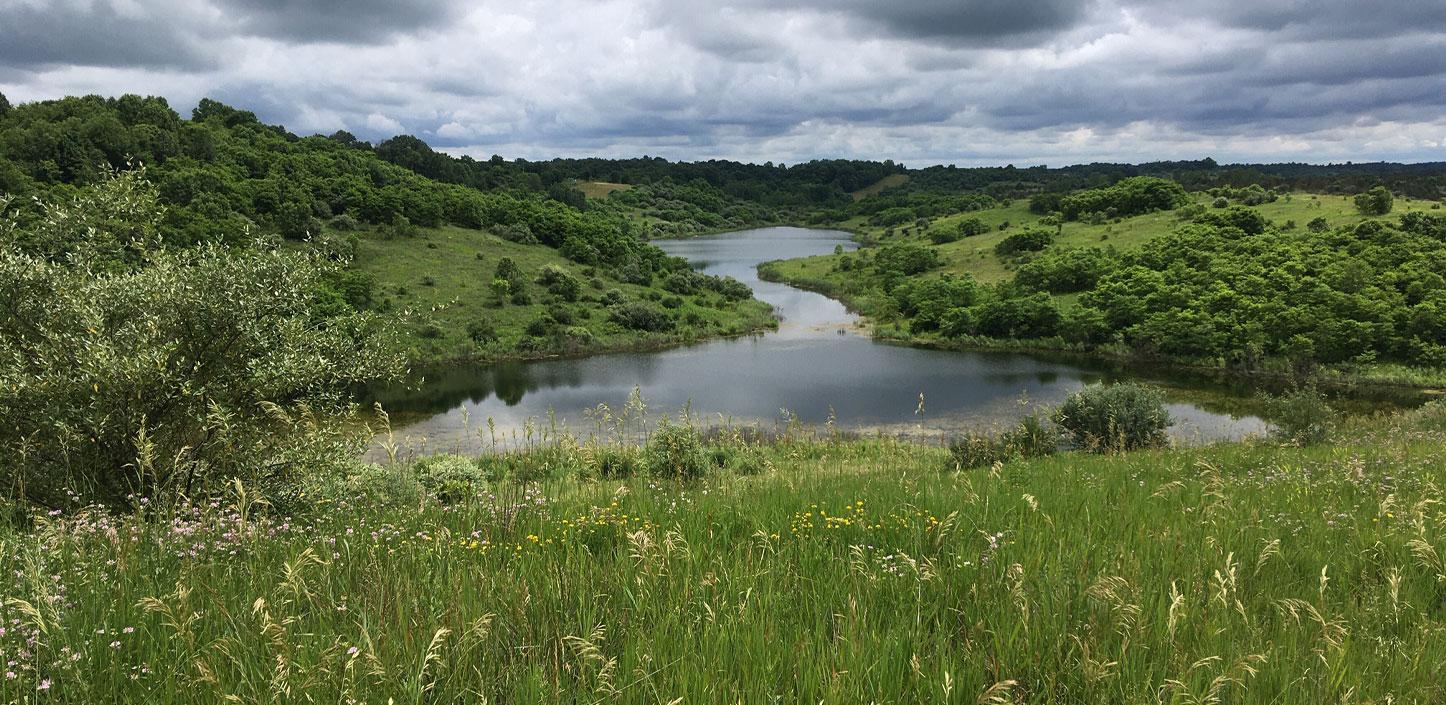 Appalachian Hills Wildlife Area