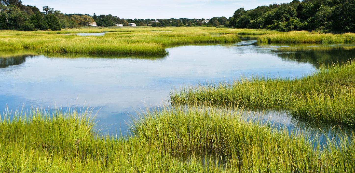 Tidal marsh in Connecticut