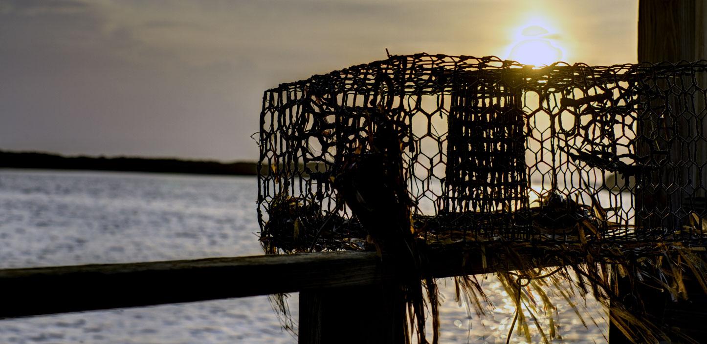 An abandoned crab pot on the Florida coast