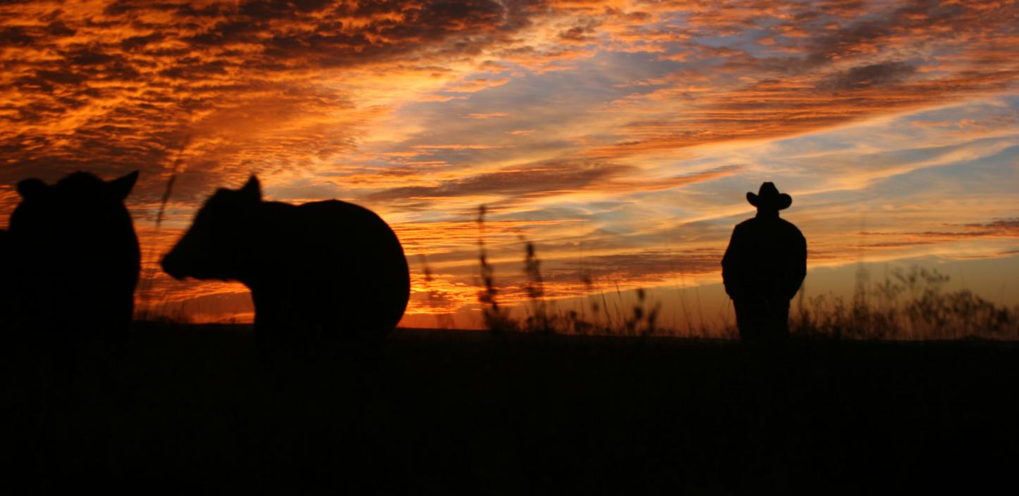 The National Fish and Wildlife Foundation, Sysco and Cargill to scale  sustainable grazing practices across 1 million acres of grassland in the  Southern Great Plains