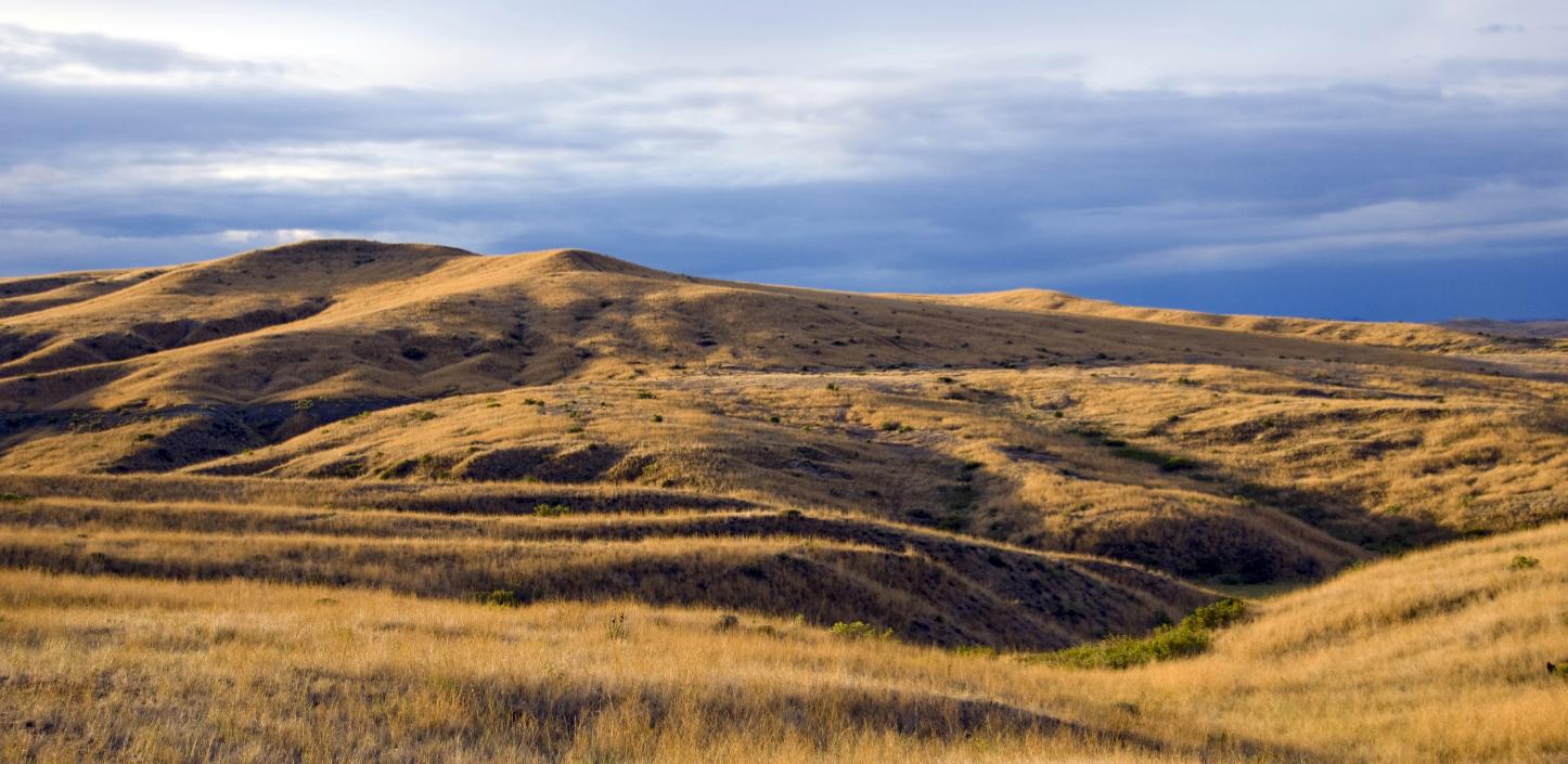 rolling grass covered hills with a moody sky