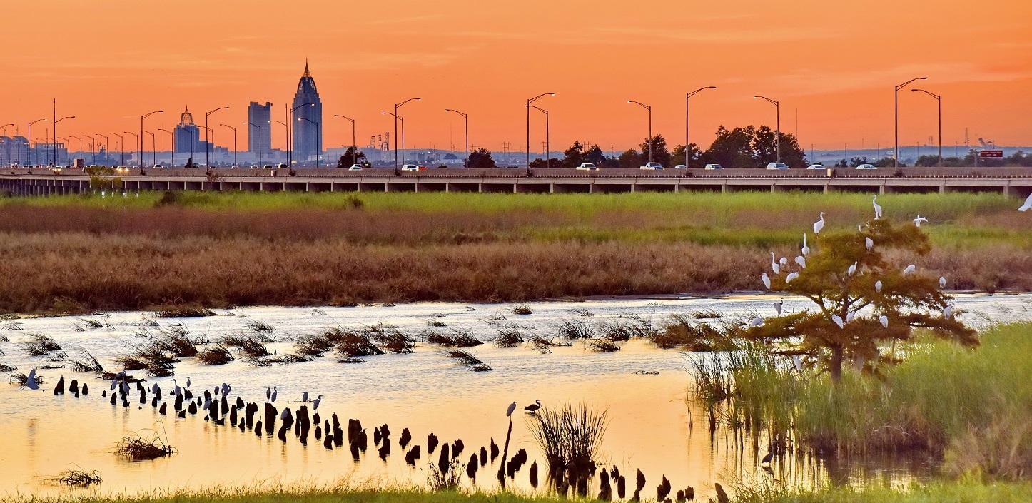 NFWF Announces Release of the National Coastal Resilience Fund 2022 ...