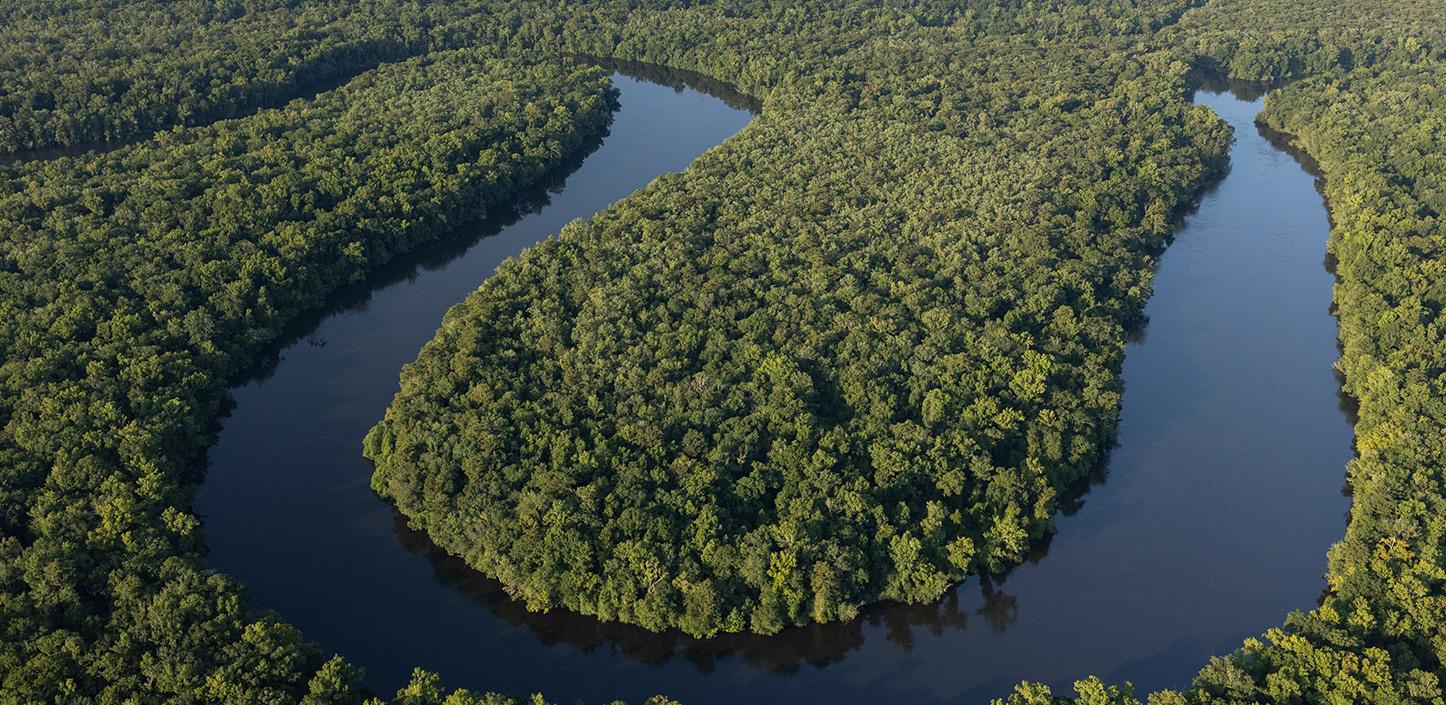 Aerial view of a winding river cutting through dense green forest, forming large curves and bends surrounded by lush vegetation.