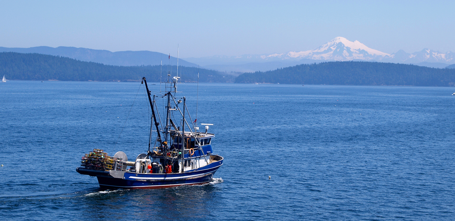 A small commercial fishing boat moves through calm blue water, with tree-lined islands and distant snow-capped mountains under a clear sky.