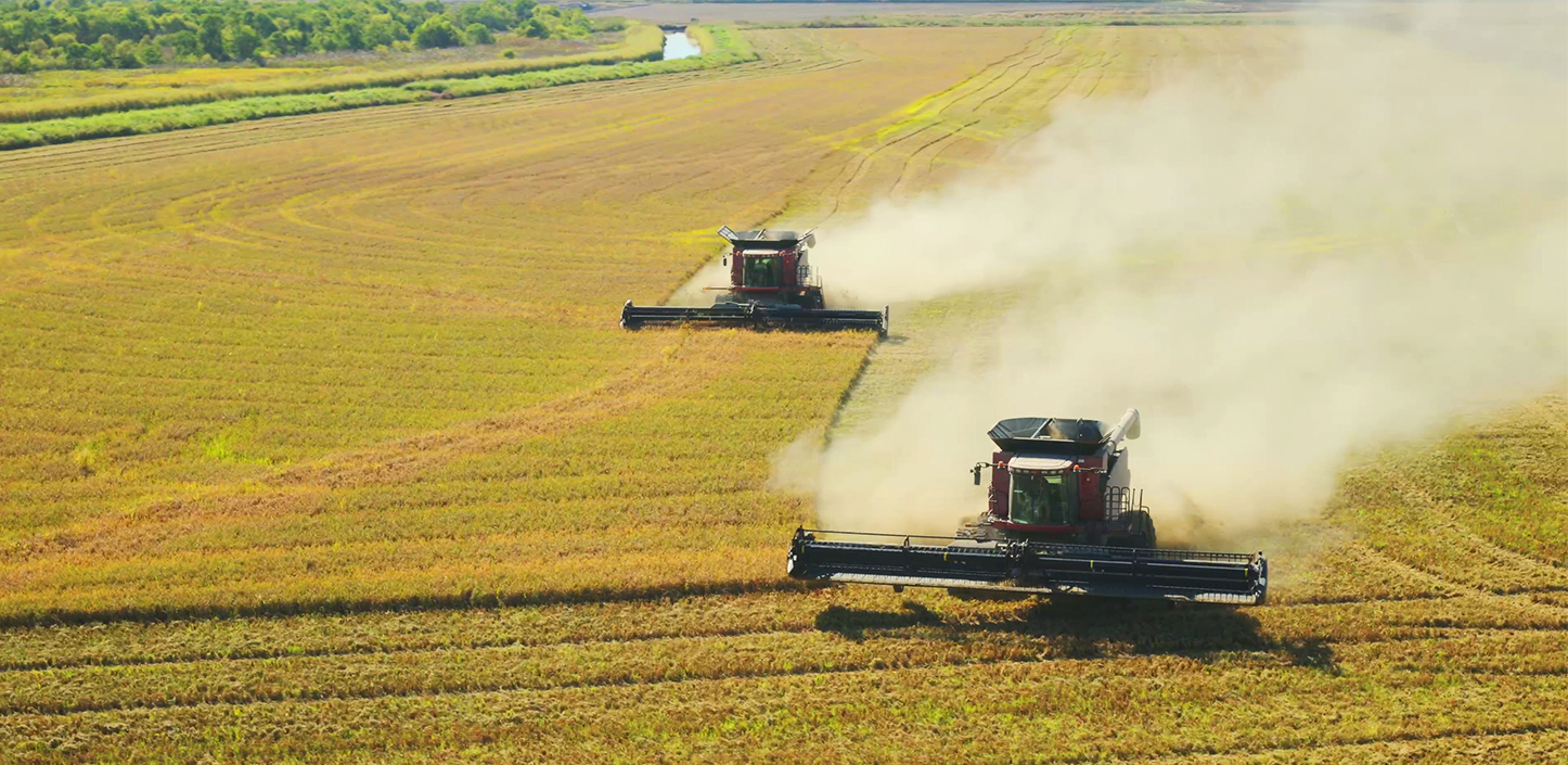 Two combine harvesters move through a large golden grain field, kicking up dust as they cut parallel rows, with a tree line and narrow river in the distance.