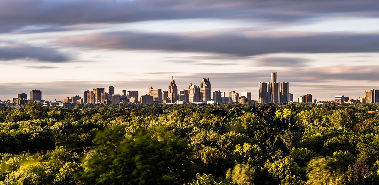 Panoramic view of a city skyline rising above a dense canopy of green trees, with tall modern and historic buildings in the distance under a sky filled with soft, streaked clouds and warm evening light.