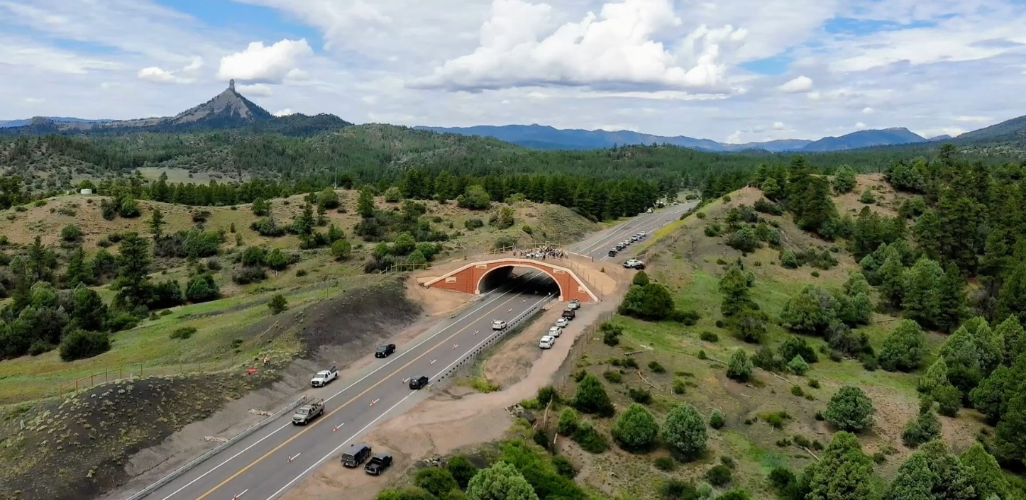 Aerial view of a wildlife overpass spanning a two-lane highway through a forested mountain landscape. Several vehicles travel along the road beneath the broad, landscaped crossing, while rolling hills, pine-covered slopes, and distant mountains stretch across the background under a sky filled with large white clouds. A distinctive rocky peak rises above the horizon in the distance.